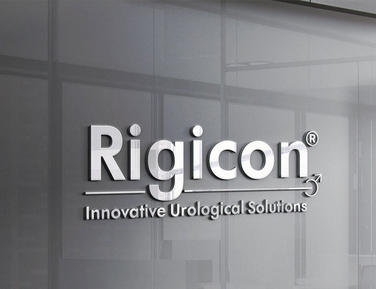 Rigicon &Uuml;ber uns