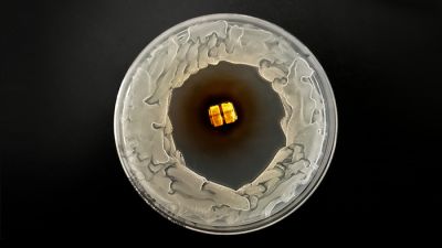 HydroShield&trade; Coating