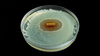 HydroShield&trade; Beschichtung