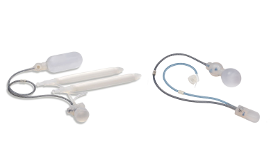 Rigicon Dualit&auml;t